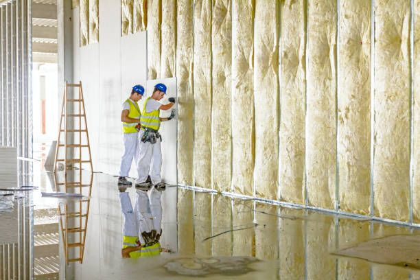 Best Spray Foam Insulation  in Austin, AR